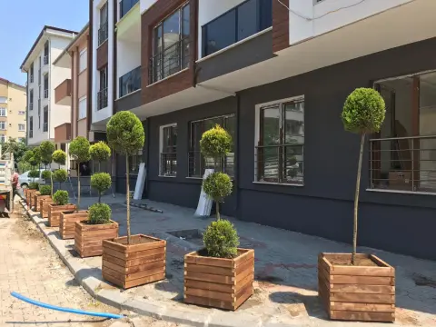 Bartın Botanik peyzaj uygulamasından bir görüntü