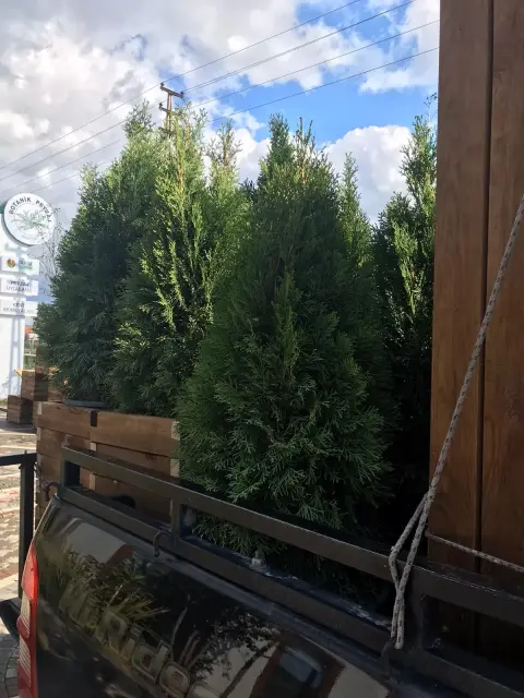 Bartın Botanik peyzaj uygulamasından bir görüntü