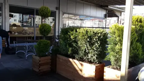 Bartın Botanik peyzaj uygulamasından bir görüntü