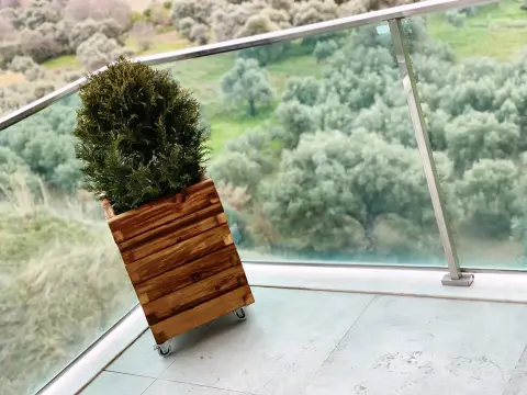 Bartın Botanik peyzaj uygulamasından bir görüntü