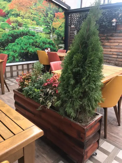 Bartın Botanik peyzaj uygulamasından bir görüntü