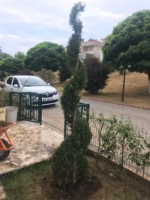 Bartın Botanik peyzaj uygulamasından bir görüntü