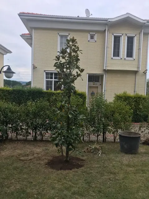 Bartın Botanik peyzaj uygulamasından bir görüntü