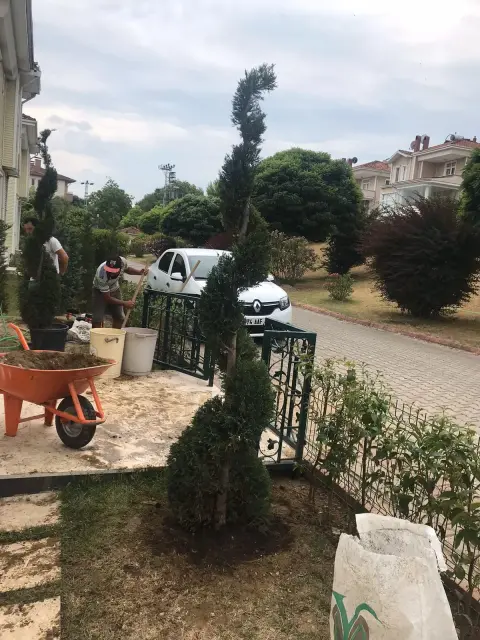 Bartın Botanik peyzaj uygulamasından bir görüntü