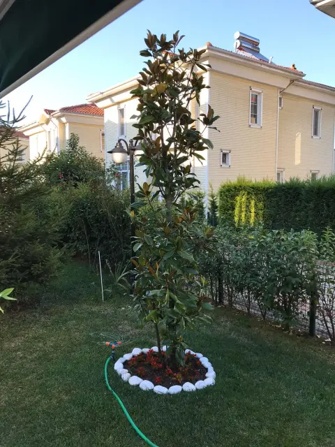 Bartın Botanik peyzaj uygulamasından bir görüntü